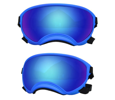 Gafas Protectoras para Perros en la Nieve - Image 38