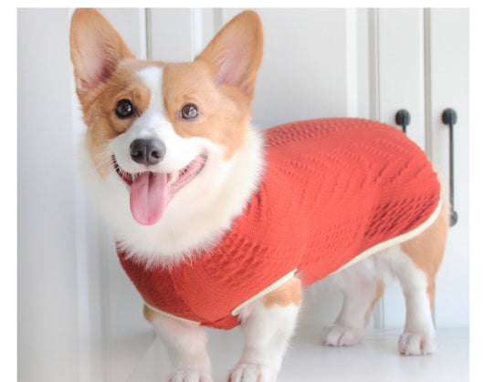 Suéter Vintage para Perros con Cuello Alto - Invierno - Image 7