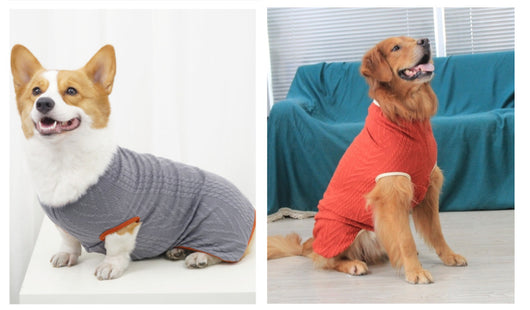 Suéter Vintage para Perros con Cuello Alto - Invierno - Image 10