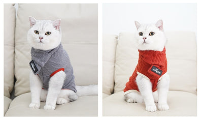 Suéter Vintage para Perros con Cuello Alto - Invierno - Image 13