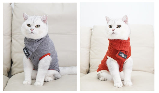 Suéter Vintage para Perros con Cuello Alto - Invierno - Image 13