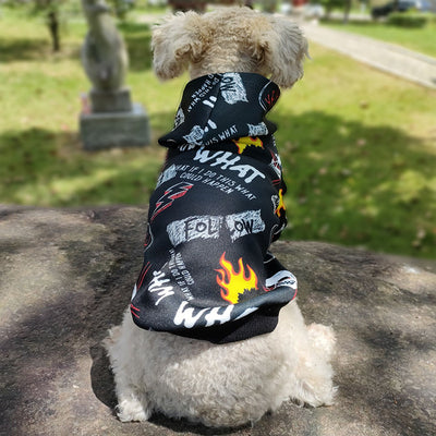 Sudadera para Perro Camuflaje Estilo Celebridad con Diseño Calavera - Image 10