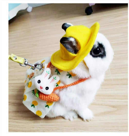 Arnés con Correa y Vestido para Conejo - Ropa Adorable para Mascotas - Image 11