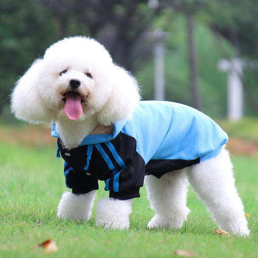 Suéter Cálido para Perros Pequeños y Medianos - Image 14