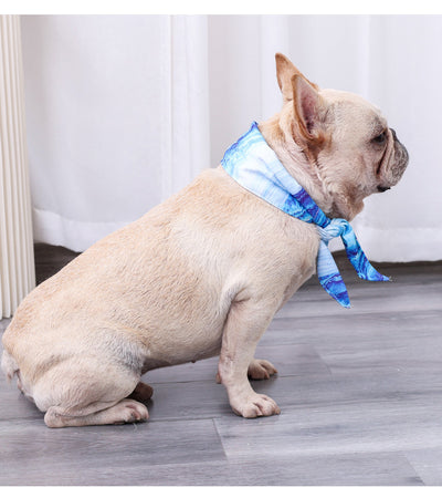 Collar Refrescante de Gel para Mascotas - Alivio Instantáneo del Calor - Image 9