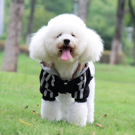Suéter Cálido para Perros Pequeños y Medianos - Image 16