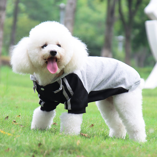 Suéter Cálido para Perros Pequeños y Medianos - Image 17