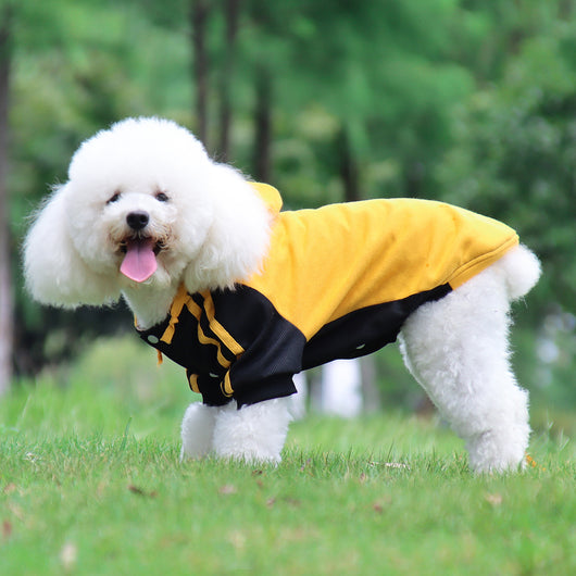 Suéter Cálido para Perros Pequeños y Medianos - Image 19