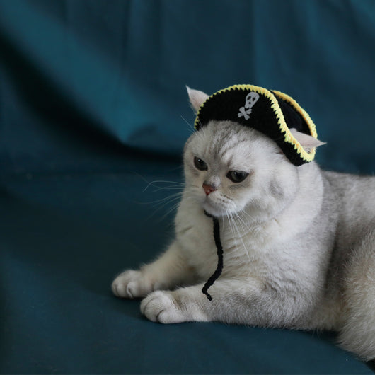 Disfraz de Pirata con Oreja Cómica para Mascotas Pequeñas - Hecho a Mano - Image 7