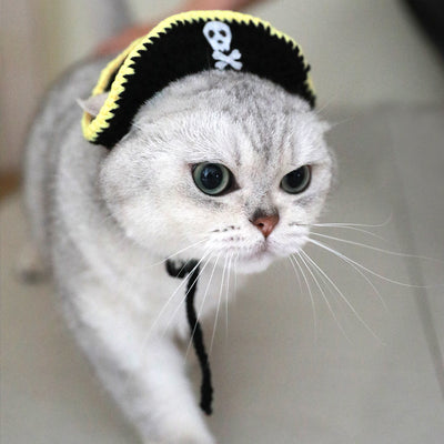 Disfraz de Pirata con Oreja Cómica para Mascotas Pequeñas - Hecho a Mano - Image 9