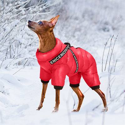 Abrigo Invierno para Mascotas - Ropa Térmica para Perros Pequeños y Gatos - Image 13