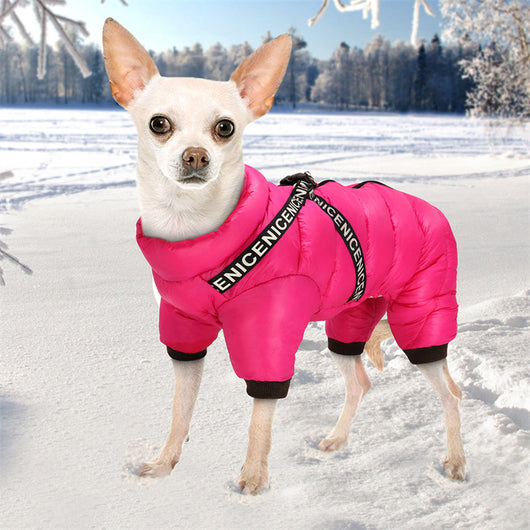 Abrigo Invierno para Mascotas - Ropa Térmica para Perros Pequeños y Gatos - Image 14