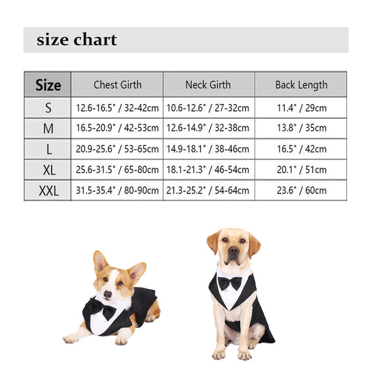 Traje Elegante con Pajarita para Perros - Image 10