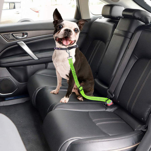 Arnés de Seguridad para Perros en Auto con Correa de Sujeción - Image 28
