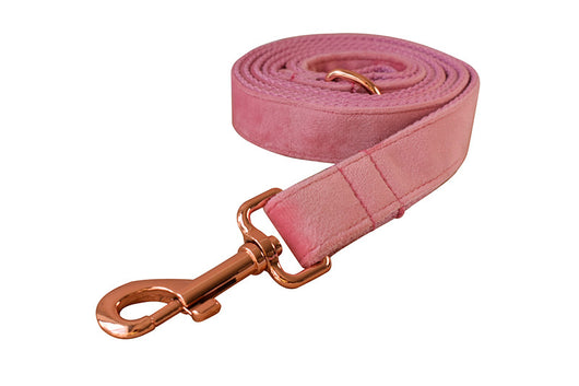 Collar para Perro de Plumón de Ganso con Hebilla Oro Rosa - Image 10
