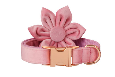 Collar para Perro de Plumón de Ganso con Hebilla Oro Rosa - Image 12