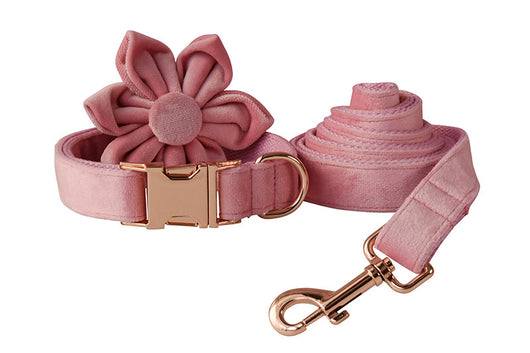 Collar para Perro de Plumón de Ganso con Hebilla Oro Rosa - Image 13