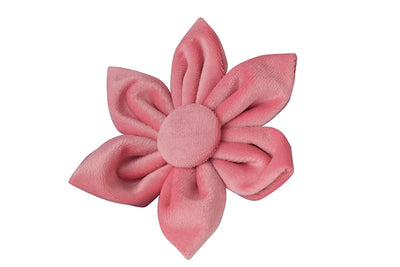 Collar para Perro de Plumón de Ganso con Hebilla Oro Rosa - Image 14