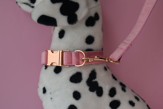 Collar para Perro de Plumón de Ganso con Hebilla Oro Rosa - Image 16