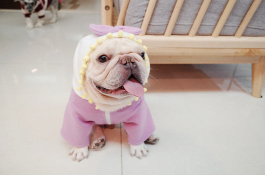 Suéter Polar Morado con Lazo para Perros Gorditos - Otoño e Invierno - Image 6