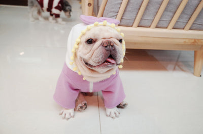 Suéter Polar Morado con Lazo para Perros Gorditos - Otoño e Invierno - Image 7