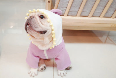 Suéter Polar Morado con Lazo para Perros Gorditos - Otoño e Invierno - Image 8