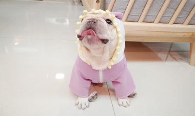 Suéter Polar Morado con Lazo para Perros Gorditos - Otoño e Invierno - Image 9