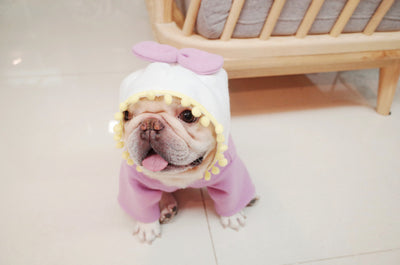 Suéter Polar Morado con Lazo para Perros Gorditos - Otoño e Invierno - Image 10