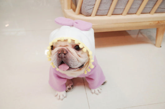Suéter Polar Morado con Lazo para Perros Gorditos - Otoño e Invierno - Image 10