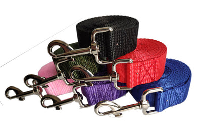 Correa para Perro Resistente de 2.5cm - Control Seguro y Cómodo - Image 8