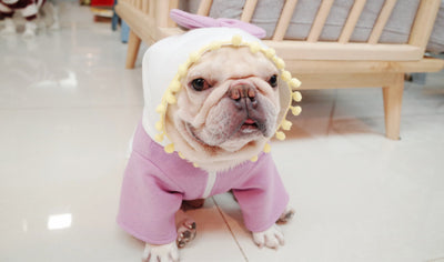 Suéter Polar Morado con Lazo para Perros Gorditos - Otoño e Invierno - Image 11