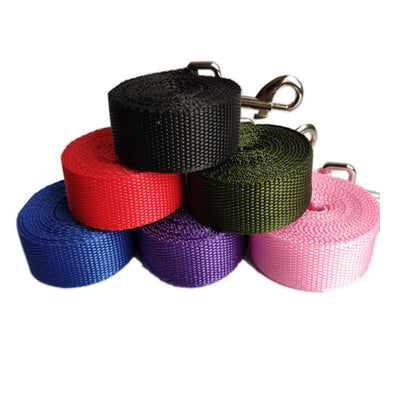 Correa para Perro Resistente de 2.5cm - Control Seguro y Cómodo - Image 9