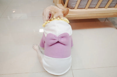 Suéter Polar Morado con Lazo para Perros Gorditos - Otoño e Invierno - Image 12