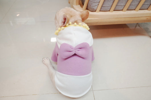 Suéter Polar Morado con Lazo para Perros Gorditos - Otoño e Invierno - Image 12