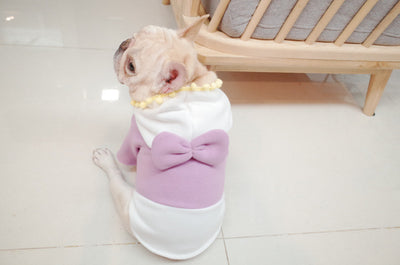 Suéter Polar Morado con Lazo para Perros Gorditos - Otoño e Invierno - Image 13