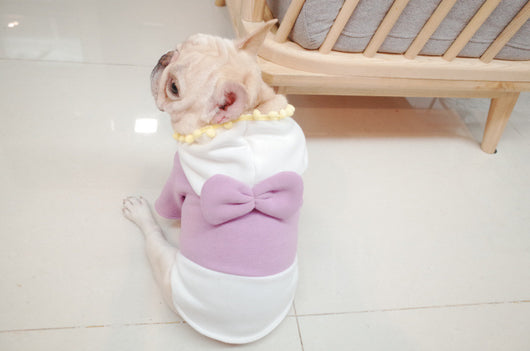 Suéter Polar Morado con Lazo para Perros Gorditos - Otoño e Invierno - Image 13
