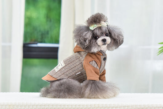 Ropa Abrigada para Cachorros - Protección en Otoño e Invierno - Image 8