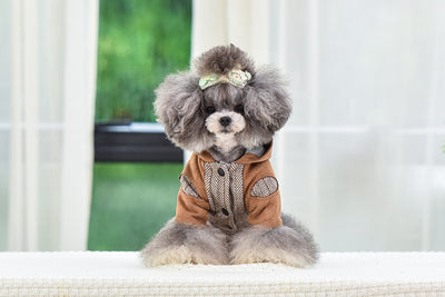 Ropa Abrigada para Cachorros - Protección en Otoño e Invierno - Image 9