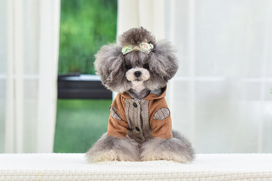 Ropa Abrigada para Cachorros - Protección en Otoño e Invierno - Image 9