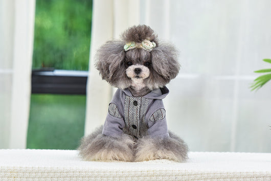 Ropa Abrigada para Cachorros - Protección en Otoño e Invierno - Image 12