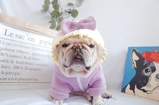 Suéter Polar Morado con Lazo para Perros Gorditos - Otoño e Invierno - Image 15