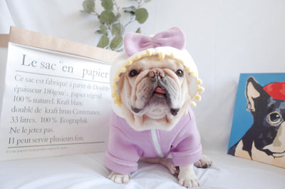 Suéter Polar Morado con Lazo para Perros Gorditos - Otoño e Invierno - Image 16