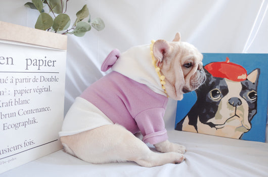 Suéter Polar Morado con Lazo para Perros Gorditos - Otoño e Invierno - Image 17