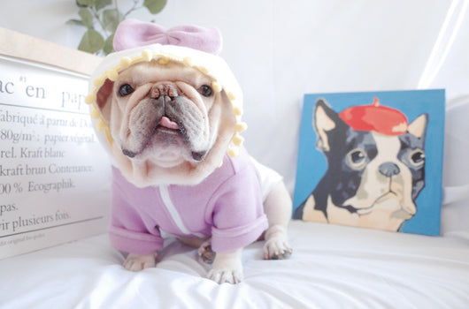 Suéter Polar Morado con Lazo para Perros Gorditos - Otoño e Invierno - Image 19