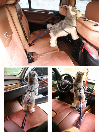 Correa Retráctil de Seguridad para Mascotas en Auto - Image 10
