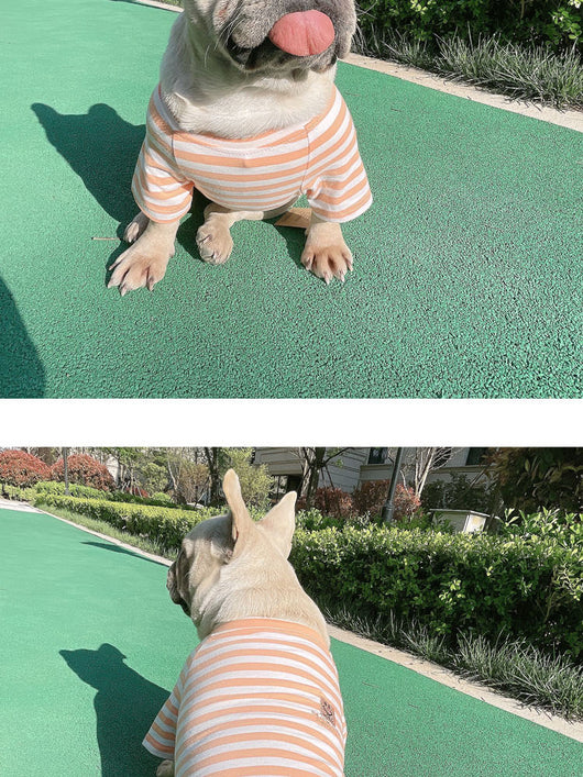 Playera Modal a Rayas para Padres e Hijos con Mascotas - Image 9