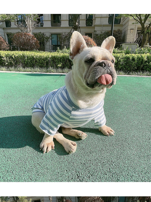 Playera Modal a Rayas para Padres e Hijos con Mascotas - Image 12