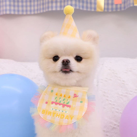 Babero Fiesta Cumpleaños para Perros - Toalla Absorbente Saliva - Image 16