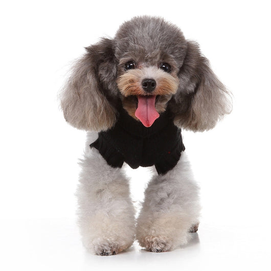 Suéter Navideño para Perros con Diseño Calavera - Abrigo Cálido de Invierno - Image 11