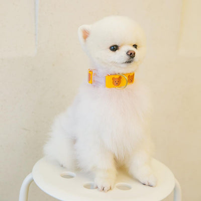 Collar Suave y Resistente para Gatos, Perros y Mascotas - Diseño Adorable - Image 9